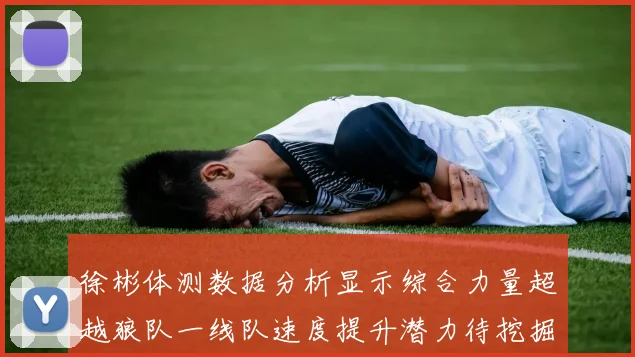 徐彬体测数据分析显示综合力量超越狼队一线队速度提升潜力待挖掘