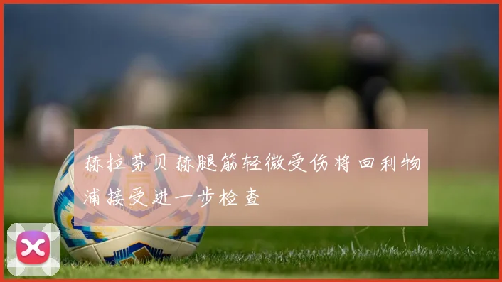 赫拉芬贝赫腿筋轻微受伤将回利物浦接受进一步检查