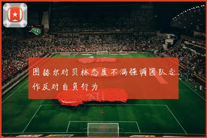 图赫尔对贝林态度不满强调团队合作反对自负行为
